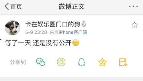 暴走吃瓜爆料免费观看,暴走吃瓜爆料，免费观看，精彩不容错过！  第1张