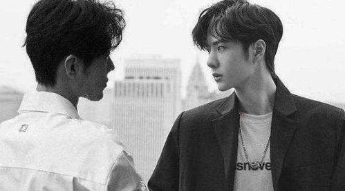 内部爆料肖战事件视频,揭秘事件真相与幕后黑幕